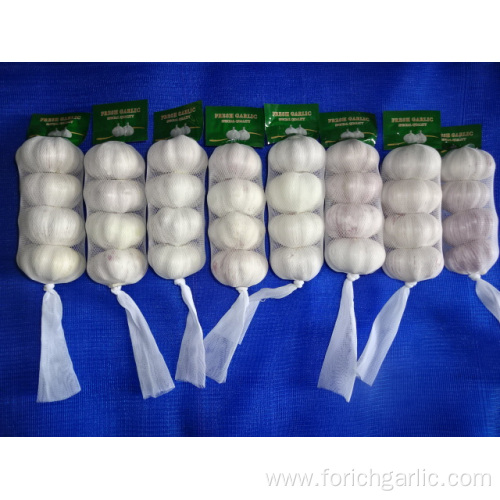 Normal White Garlic New Crop With Best Quality